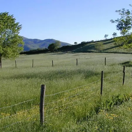 Tower House In Umbria With Pool And Garden * Monte Castelli